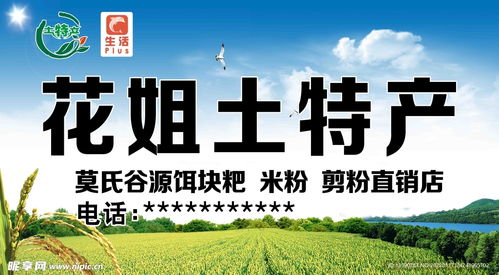 土特產(chǎn)門頭廣告設計指南 關鍵要素與創(chuàng)意靈感